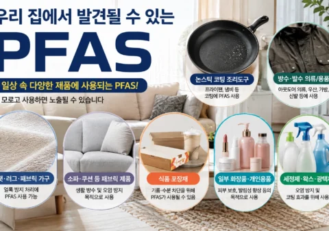 우리 집 생활용품 속 PFAS 오염물질 종류 및 노출 위험성 미국 가정 내 프라이팬, 아웃도어 의류, 카펫, 패브릭 소파, 식품 포장재, 화장품, 세정제 등 일상 생활용품에서 발견될 수 있는 PFAS 유해 오염물질 종류 안내